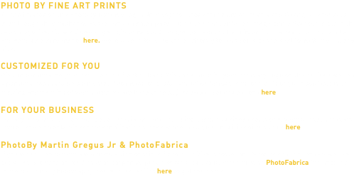 PHOTO BY FINE ART PRINTS All the images on the PhotoBy Martin Gregus Jr except for those found under Drama and Beauty are for sale even though they might not appear on this sales page. To place an order for an image currently not visible in the two categories, please chose any single or mix of 6 images you would like printed from anywhere on this site and send us a screenshot here. We will be in touch with you shortly to help you pick the best format, media, and size. CUSTOMIZED FOR YOU We can personalize your cards on the front or back. We can also print your company logo on the back as well as a personal message on each card. If you need or prefer any other format, kind of media or you need help with matting and framing of your cards we are here to help, just e-mail your questions here FOR YOUR BUSINESS For any kind of bulk, commercial or special orders, including custom business solutions, your printed company logo or any kind of business personalization please address all your inquiries direct to us here PhotoBy Martin Gregus Jr & PhotoFabrica If you would like to view a wider selection of prints from our cities, people, and famous destinations as well as book a studio session for family or corporate portraits we proud to be working with PhotoFabrica in Vancouver to meet all your photography needs. Please click here to get redirected.