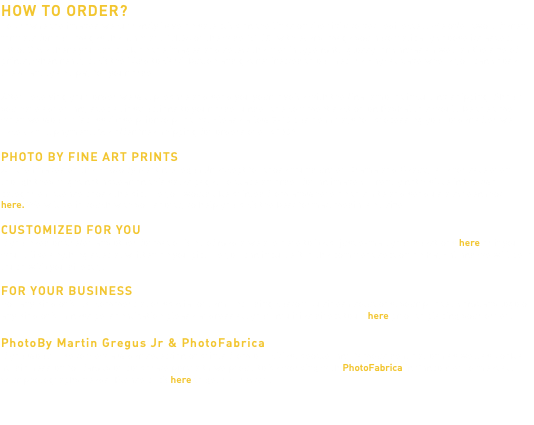HOW TO ORDER? To browse the images we currently have on sale click on the links on the right to get redirected. We offer two different formats for our images the standard 1:1,64 or the wide 1:1,85; with every image you automatically choose its aspect ratio. Once there you can click on the images and select the media type matt, glossy, or canvas as well as the size of prints; when ready click the "Add to Cart" button and get redirected to our secure PayPal page where you can chose the quantity and pay for your order. After receiving your order we will prepare and send you your invoice with the final amount including shipping. Should you have added any special instructions to your order under the comment section on PayPal this would be the time when we would discuss those prior to printing. Please allow 7-10 business days for processing your order after we receive full payment. We offer free shipping for orders over $1000 PHOTO BY FINE ART PRINTS All the images on the PhotoBy Martin Gregus Jr except for those found under Drama and Beauty are for sale even though they might not appear on this sales page. To place an order for an image currently not visible in the two categories, please chose the picture you would like printed from anywhere on this site and send us a screenshot here. We will be in touch with you shortly to help you pick the best format, media, and size. CUSTOMIZED FOR YOU If you need or prefer any other format or kind of media we are here to help, just e-mail your questions here or if you would like anything special written on you picture you can include it in the comment section on PayPal and we will be in touch with you directly. FOR YOUR BUSINESS For any kind of bulk, commercial or special orders, including custom business solutions, your printed company logo or any kind of business personalization please address all your inquiries direct to us here prior to placing your order. PhotoBy Martin Gregus Jr & PhotoFabrica If you would like to view a wider selection of prints from our cities, people, and famous destinations as well as book a studio session for family or corporate portraits we proud to be working with PhotoFabrica in Vancouver to meet all your photography needs. Please click here to get redirected.