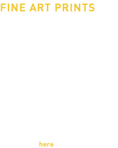 FINE ART PRINTS For all prints we use the highest quality inks and media. The presented formats include a white border approximately 1/8" on every side on paper prints; 1" border on canvas prints for framing and stretching. Smaller prints are shipped in flat boxes or envelopes, large prints and unscratched canvas are shipped in tubes. As a special service we offer custom made mats, stretching of canvas prints and custom framing. The archival quality of our prints is 85+ years depending on used media and display conditions. Request more information here 